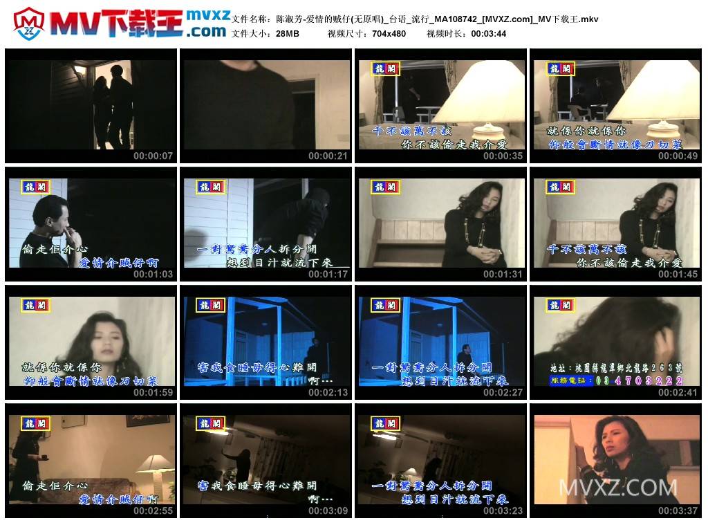 陈淑芳-爱情的贼仔(无原唱)_台语_流行_MA108742